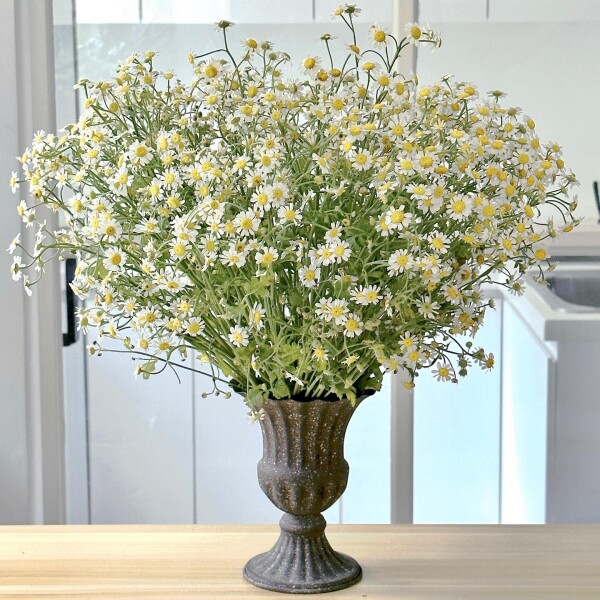 SOLOMON BLOEMEN-3-婚禮當日