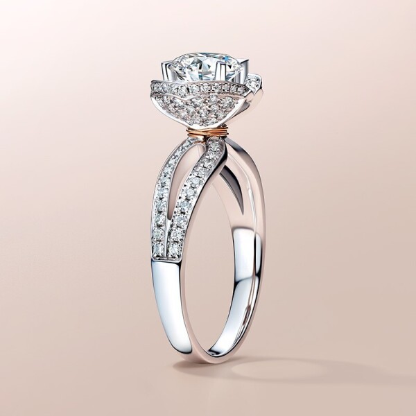 Darry Ring-4-婚戒首飾