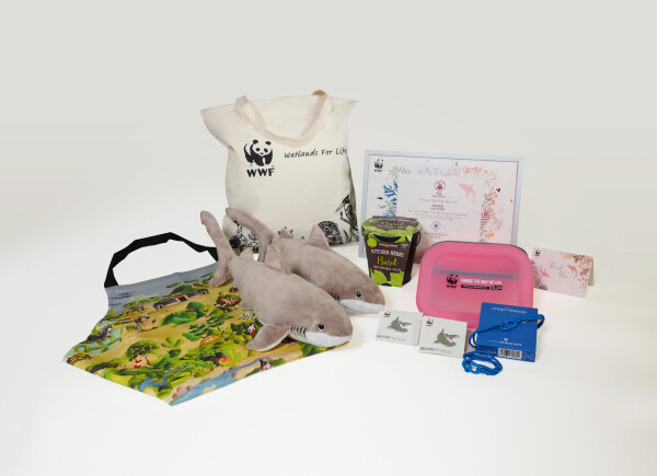 世界自然基金會 WWF-1-婚禮當日