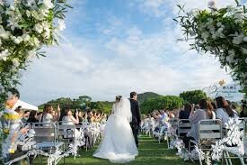 Wedding Paradise-0-婚禮服務