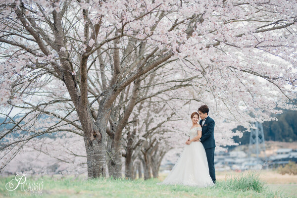 Picasso Wedding-2-婚紗攝影