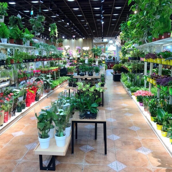 Brighten Floriculture 繽紛園藝-4-婚禮當日