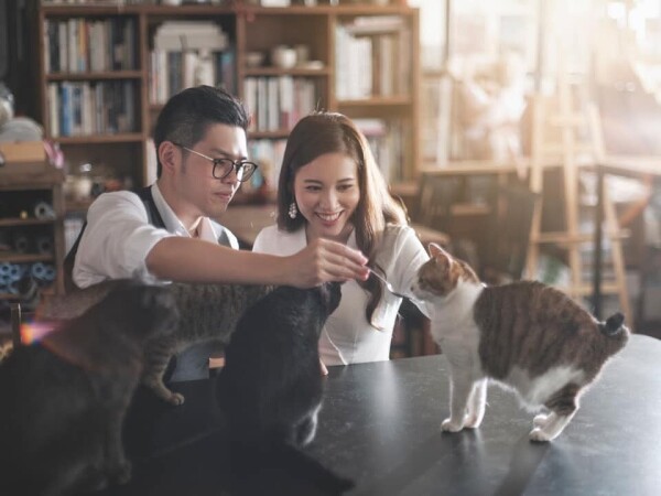 Kristy makeup & styling-4-化妝美容