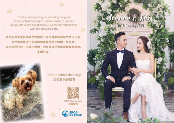 愛護動物協會 SPCA-3-婚禮當日