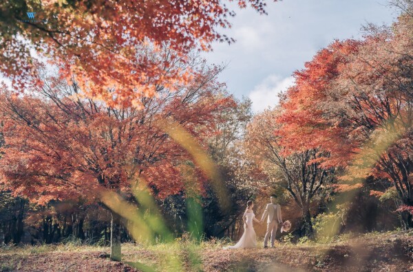 Vision Wedding and Production-3-婚紗攝影