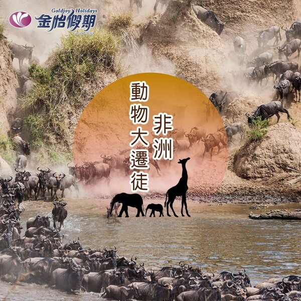 金怡假期 Goldjoy Holidays-1-蜜月婚禮