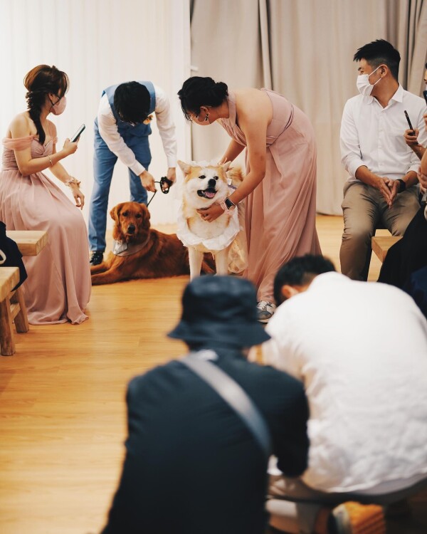 The Orbs-1-婚禮服務