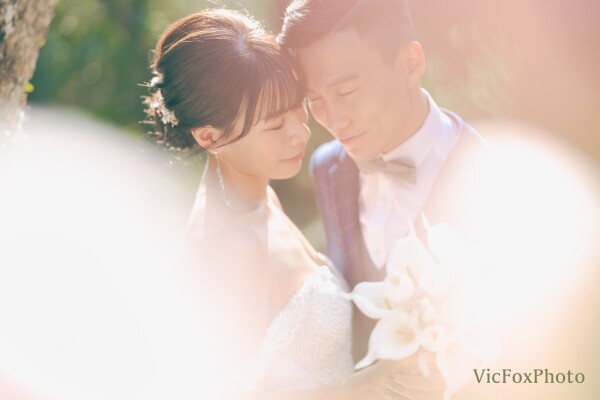 VicFoxPhoto-0-婚紗攝影