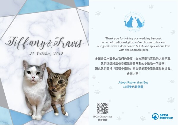 愛護動物協會 SPCA-4-婚禮當日