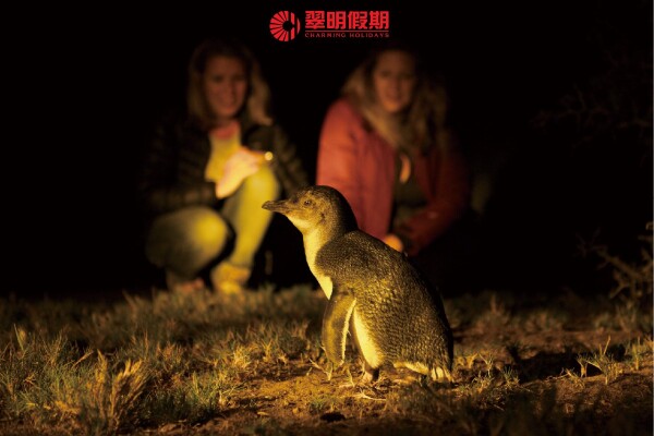 翠明假期 Charming Holidays-1-蜜月婚禮