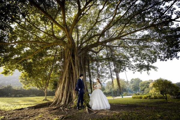 Momento Wedding-0-婚紗攝影