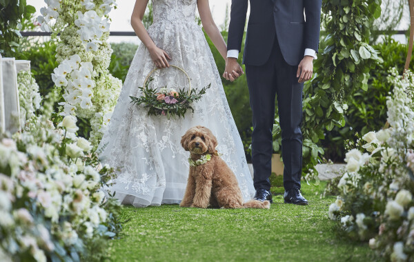 香港瑰麗酒店 Rosewood Hong Kong-2-婚宴場地