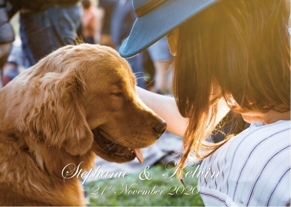 保護遺棄動物協會 (SAA)-2-婚禮當日