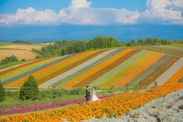 DE & Co. Decollte Photography-4-婚紗攝影