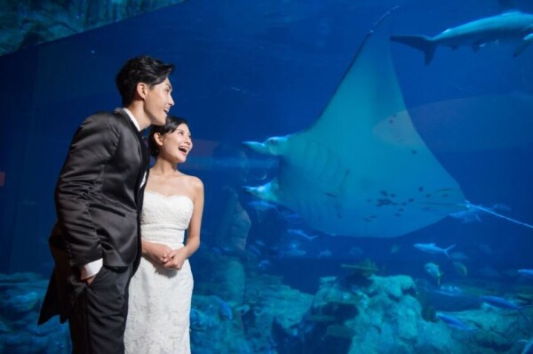香港海洋公園 Hong Kong Ocean Park-2-婚宴場地