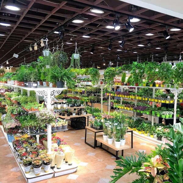 Brighten Floriculture 繽紛園藝-3-婚禮當日