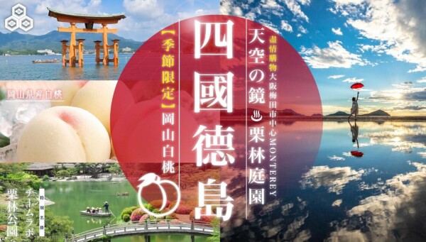 縱橫遊 WWPKG-4-蜜月婚禮